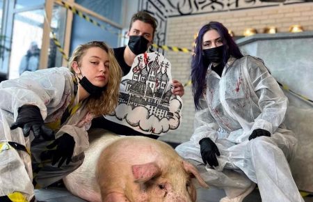 Тату на свинье: полиция открыла дело за жестокое обращение с животными
