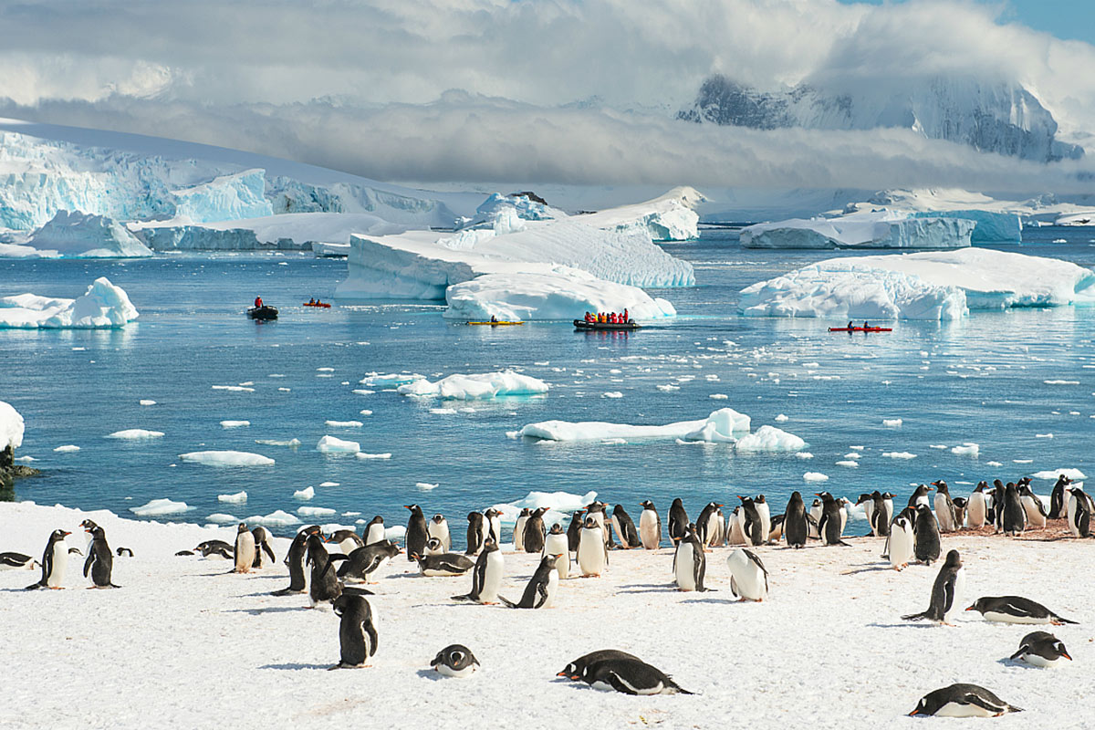 ПАР планує досліджувати Антарктику з використанням українського криголама
