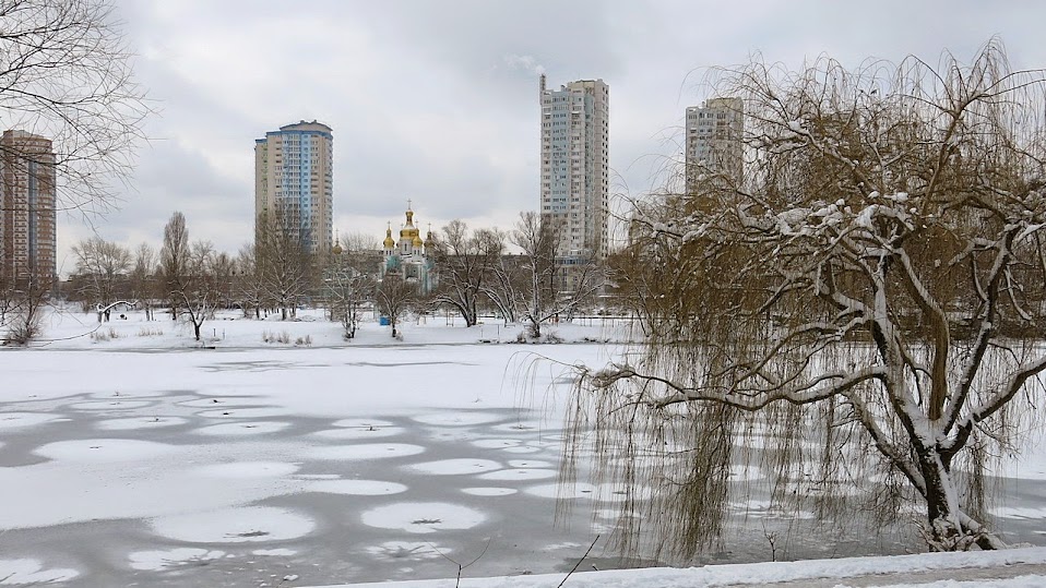 Каталась на коньках и провалилась под лед: на озере Тельбин в Киеве спасли женщину (видео)