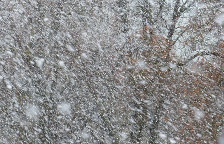У Києві та області попередили про складні погодні умови: сніг, дощ, пориви вітру