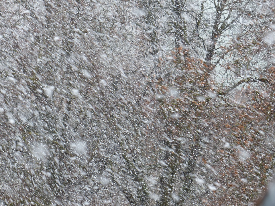 У Києві та області попередили про складні погодні умови: сніг, дощ, пориви вітру
