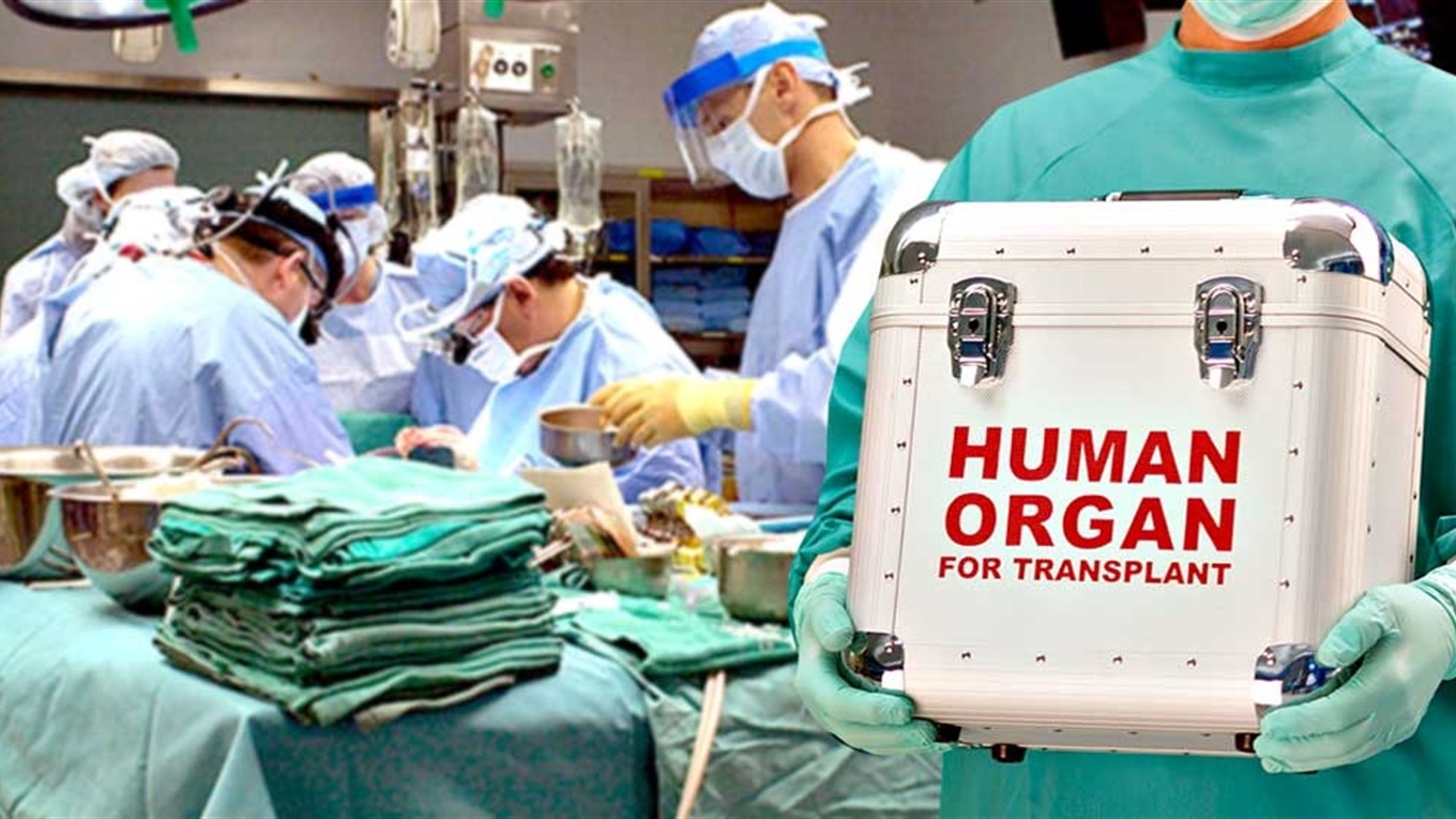 «Розберуть на органи» та «ферма донорів»: розвінчуємо міфи про трансплантологію в Україні