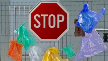 Чи буде кримінальна відповідальність за пластикові пакети?