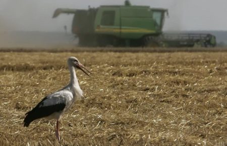Понад 20% орних земель знаходяться не під контролем України