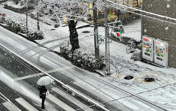 У Токіо вперше за 4 роки сильний снігопад: щонайменше 50 людей травмувалися