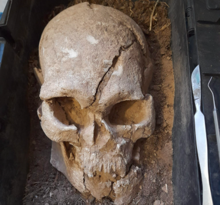На Мамай-Горе археологи нашли череп возрастом 7 тысяч лет