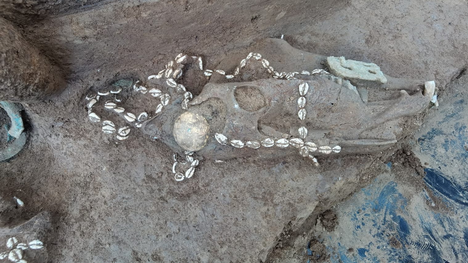 В Китае археологи нашли комплекс гробниц возрастом 3 тысячи лет