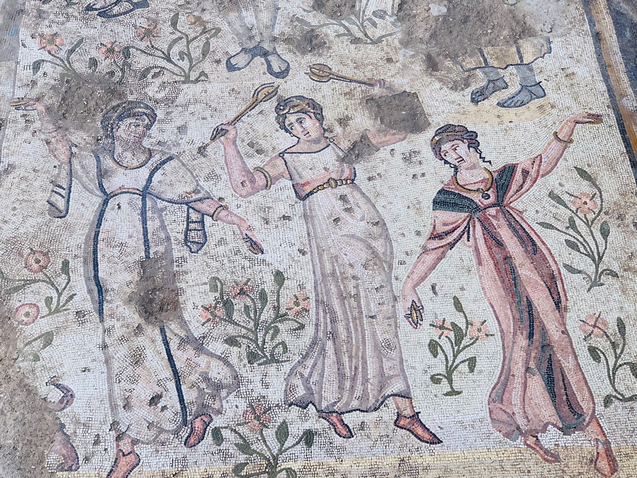 У Туреччині археологи виявили унікальну 1500-річну мозаїку (фото)