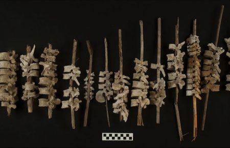 У Перу археологи знайшли понад сто людських хребтів віком близько 500 років (ФОТО)