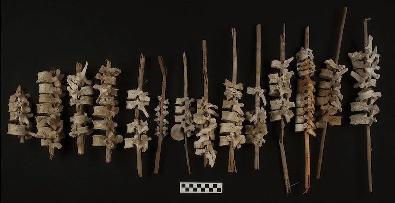 У Перу археологи знайшли понад сто людських хребтів віком близько 500 років (ФОТО)