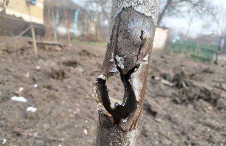 Унаслідок обстрілу Старогнатівки на Донбасі важко поранено солдата ЗСУ