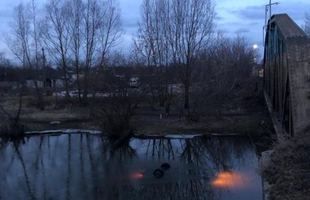 На Львовщине автомобиль слетел с моста в реку, водитель погиб (фото)