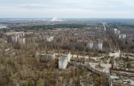 Нарушенная военными рф почва в чернобыльском Рыжем лесу восстановится к лету
