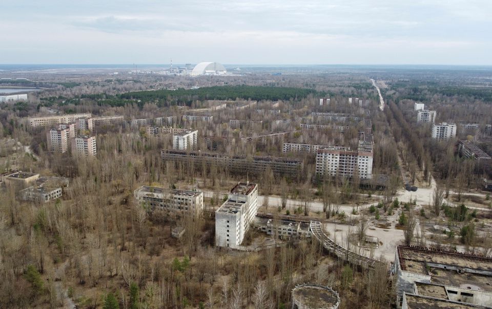Порушений військовими рф ґрунт у чорнобильському Рудому лісі відновиться до літа