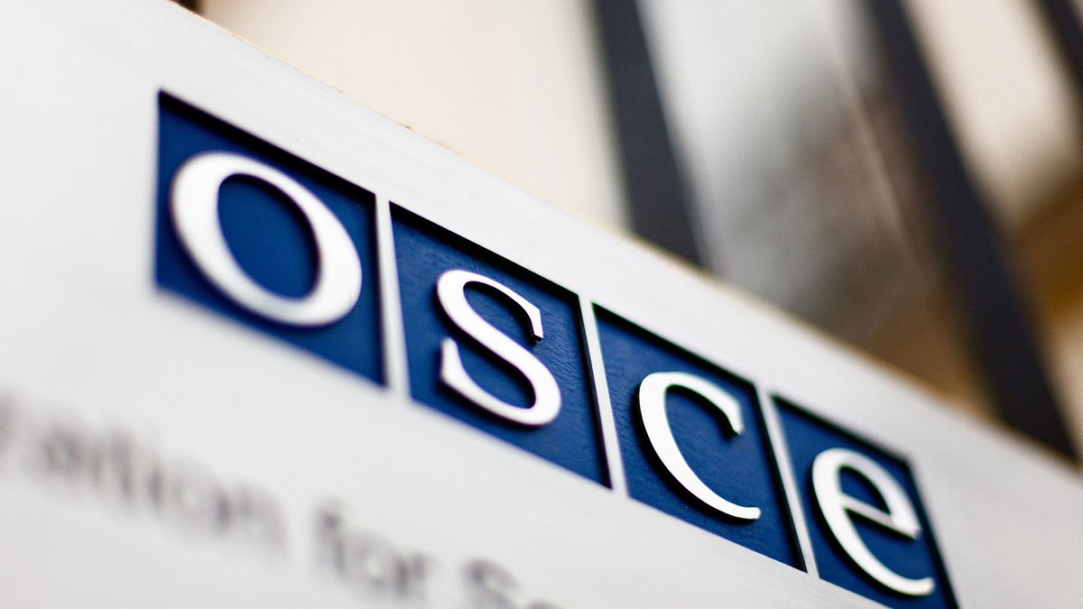 Финляндия заявила об угрозе распада ОБСЕ из-за Беларуси и России