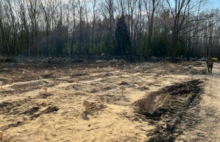 В Чернигове место массового захоронения обустроили в лесу (фото)