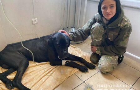 «Він втратив віру в людей, але ми допоможемо її повернути» — поліцейські врятували від смерті покинутого на Київщині собаку