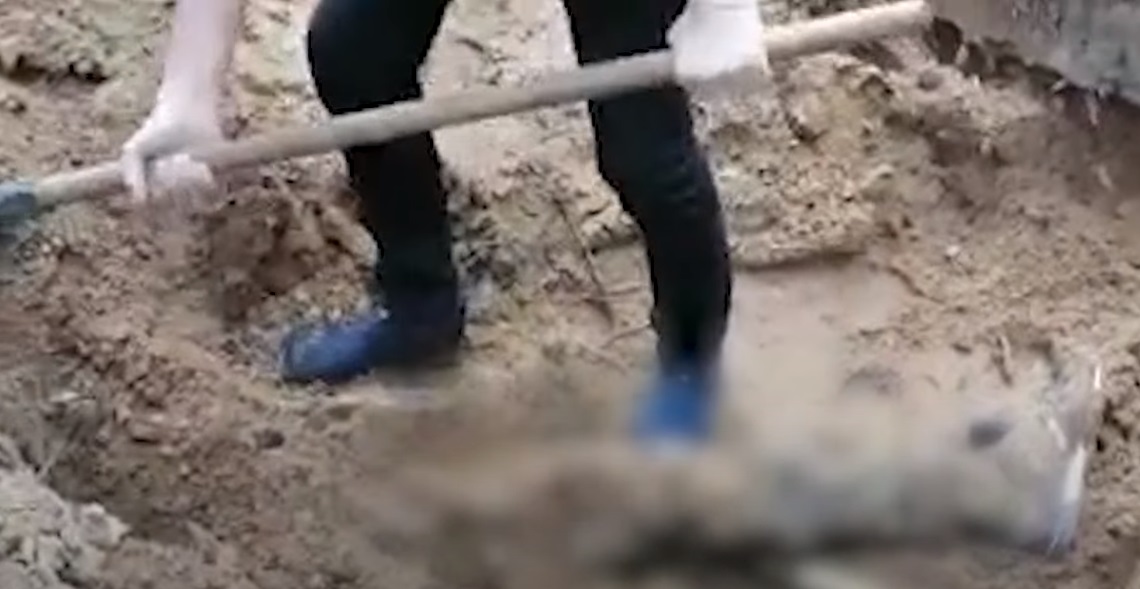 У Бучанському районі виявили яму із тілами закатованих чоловіків