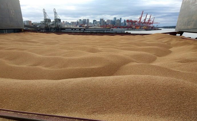 Росія планує вкрасти в України майже 1,8 мільйона тонн зерна до кінця року — NDR