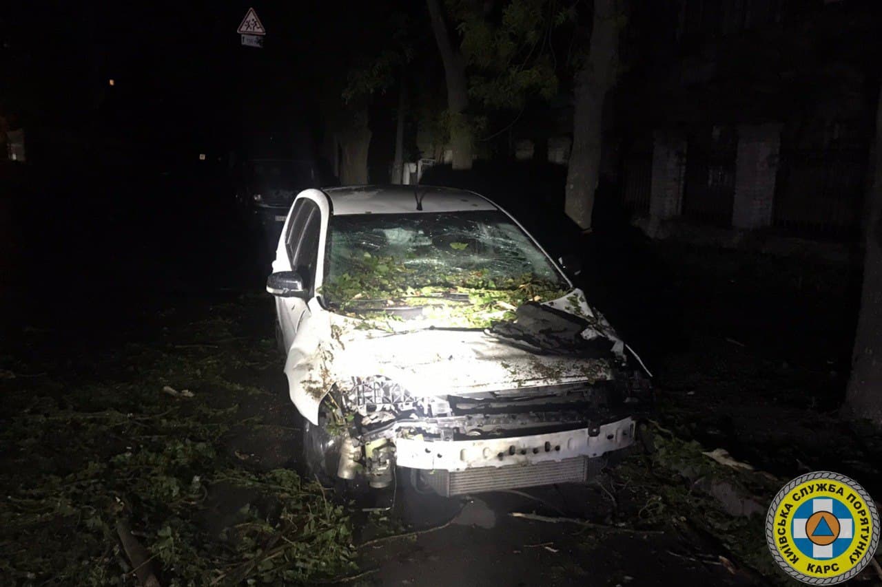 Непогода в Киеве: деревья падали на автомобили и проезжую часть (фото)