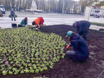 Люди хочуть нормального життя, висаджують квіти: як оживає Харків та звільнені села області
