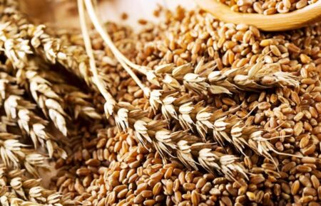Українське зерно буде точно дорожчим і його треба везти через країни Балтії — аналітик