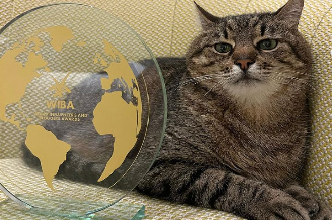Харківський кіт Степан отримав світову відзнаку для блогерів у Каннах