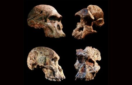 Предки человека из пещер в ЮАР жили на миллион лет раньше, чем считалось — CNN