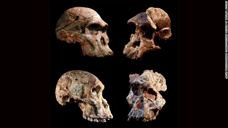 Предки человека из пещер в ЮАР жили на миллион лет раньше, чем считалось — CNN