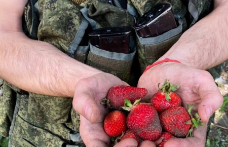На Херсонщині російські окупанти намагаються найнятися на збір полуниці — ОК «Південь»