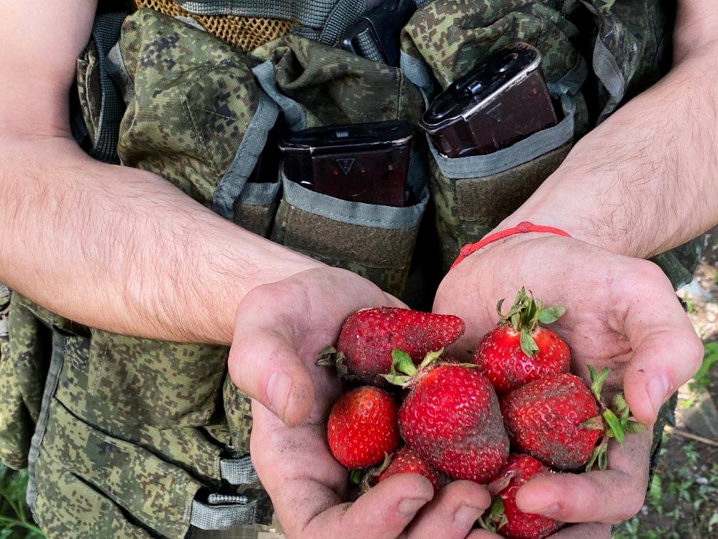 На Херсонщині російські окупанти намагаються найнятися на збір полуниці — ОК «Південь»