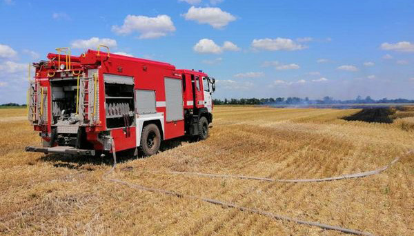 На Миколаївщині через обстріли окупантів згоріло пшеничне поле