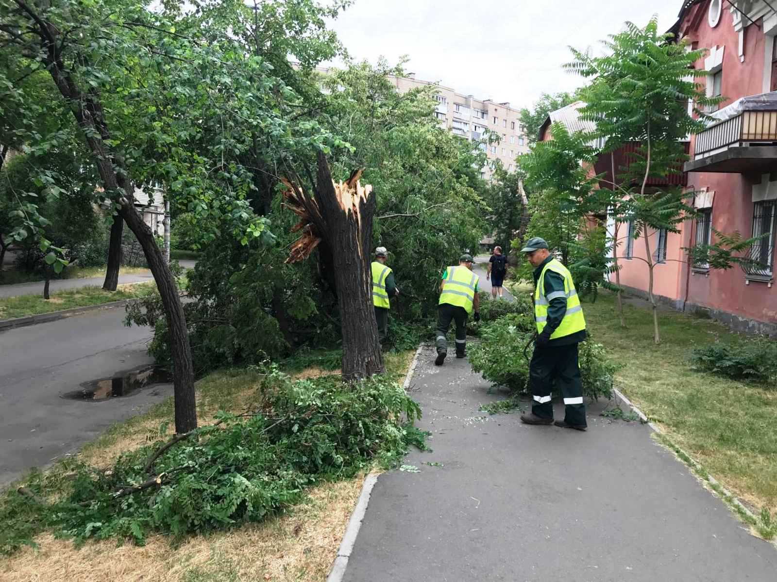 Непогода в Киеве: 80 поврежденных и 20 поваленных деревьев (фото)