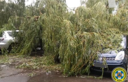 Непогода в Киеве: около 100 поваленных и почти 200 сломанных деревьев (фото)