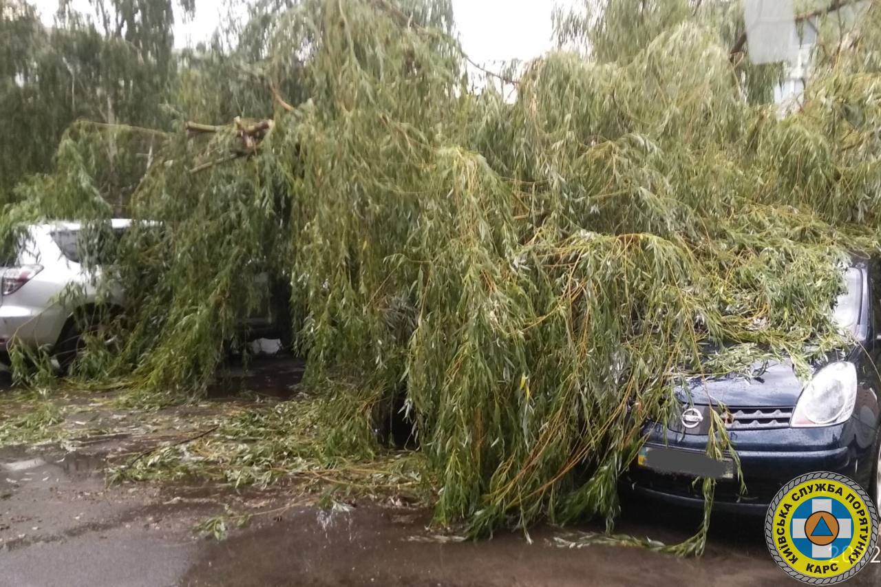 Непогода в Киеве: около 100 поваленных и почти 200 сломанных деревьев (фото)
