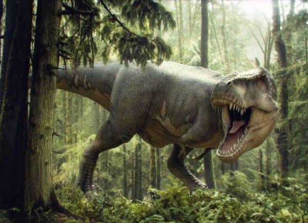 Чому у тиранозаврів були такі маленькі передні лапи