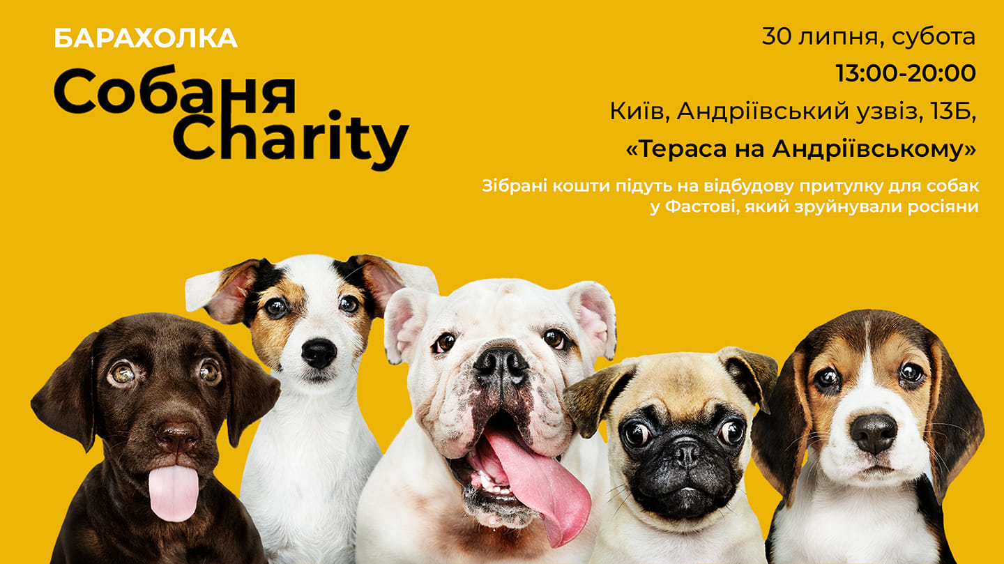 «Собаня Charity»: у Києві відбудеться благодійна барахолка для допомоги розбомбленому притулку у Фастові