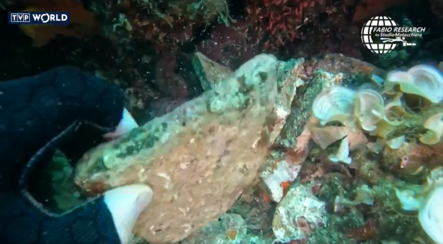 В Італії водолаз допоміг археологам знайти давнє затоплене судно