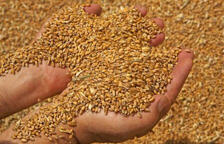 Росія вкрала українського зерна щонайменше на мільярд доларів —  Bloomberg