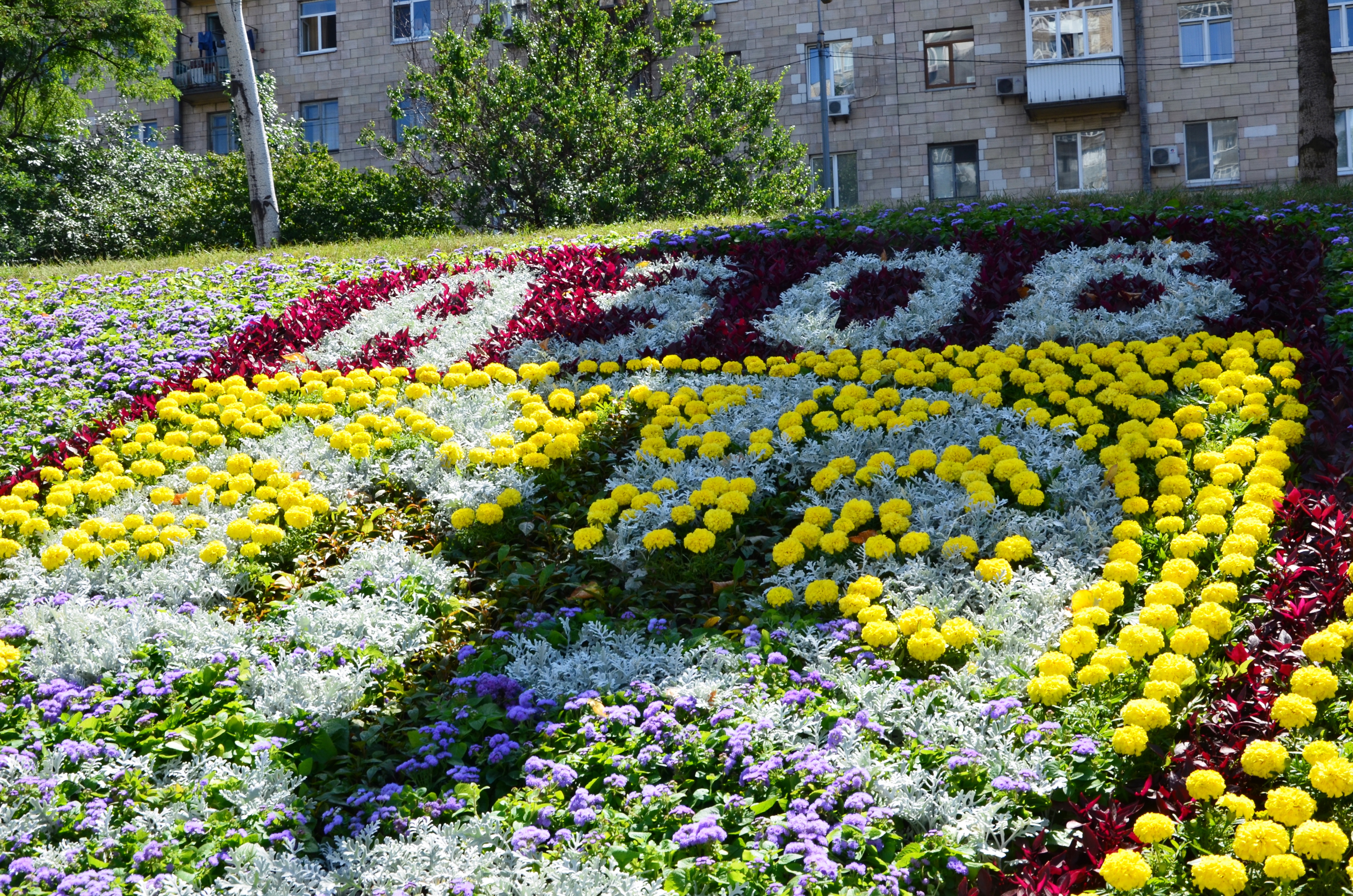 В Киеве создали цветочное панно в честь отдельного отряда спецназначения «Азов» (фото)