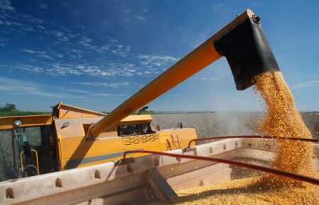 Досягти зростання експорту зерна вдалося завдяки «альтернативній логістиці» — заступник міністра агрополітики