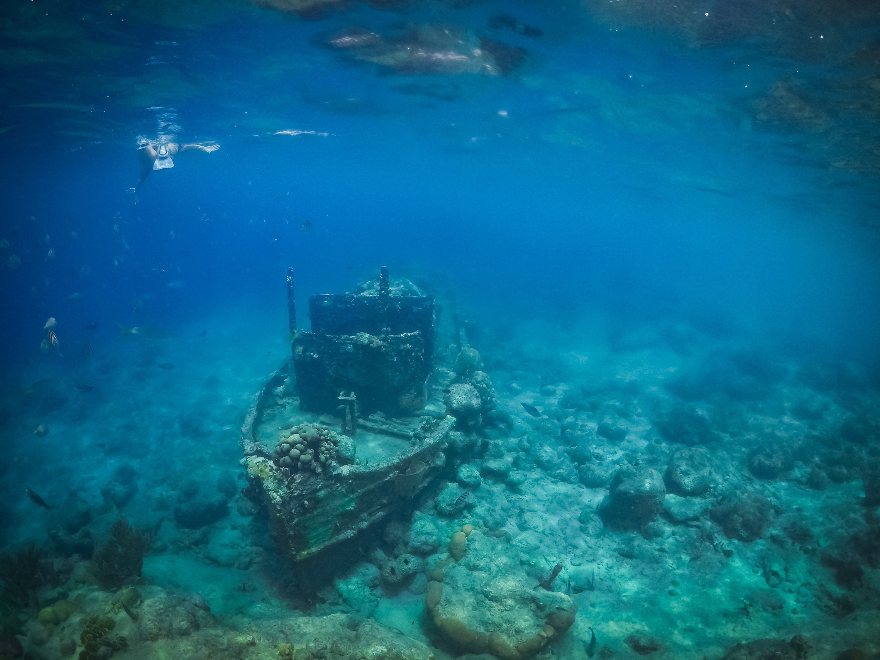 В Германии нашли останки затонувшего 400-летнего корабля