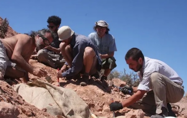 В Аргентині палеонтологи знайшли невідомого динозавра