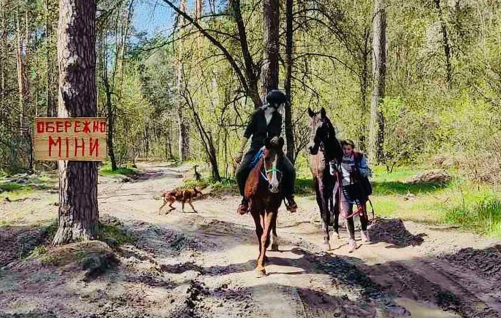 «Із 32 коней вижили 14»: історія власниці стайні, яку російські окупанти знищили в Гостомелі