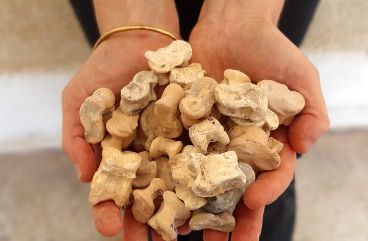 Археологи знайшли в Ізраїлі стародавню гру з кісток