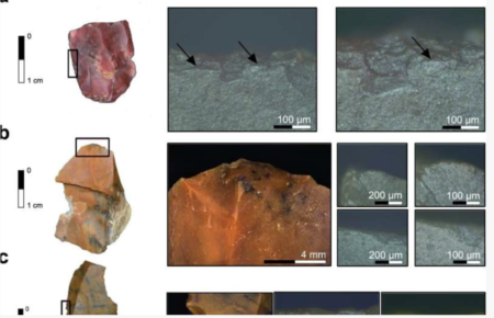 Раскопки в Румынии: ученые обнаружили артефакты времен ранних Homo sapiens