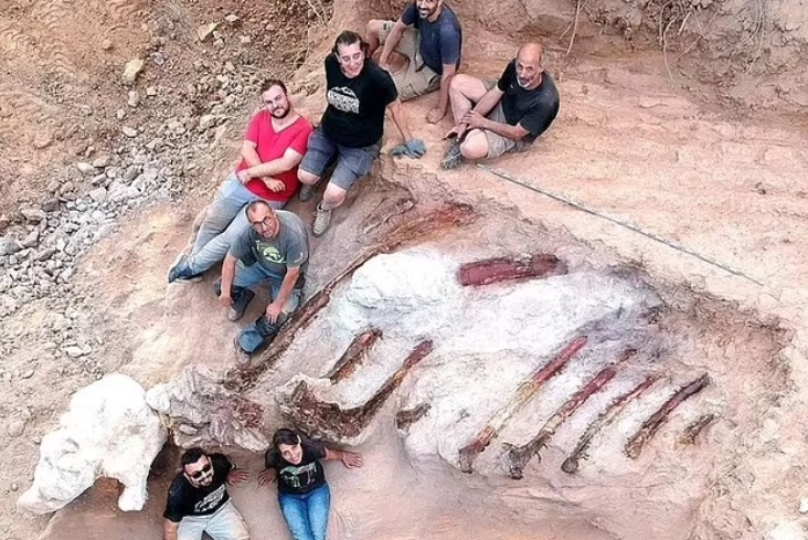 В Португалии мужчина нашел в своем саду кости — палеонтологи откопали останки динозавра, жившего 160 млн лет назад