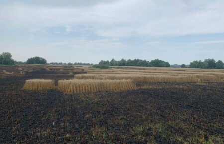 Окупанти спалили поле з пшеницею на Сумщині