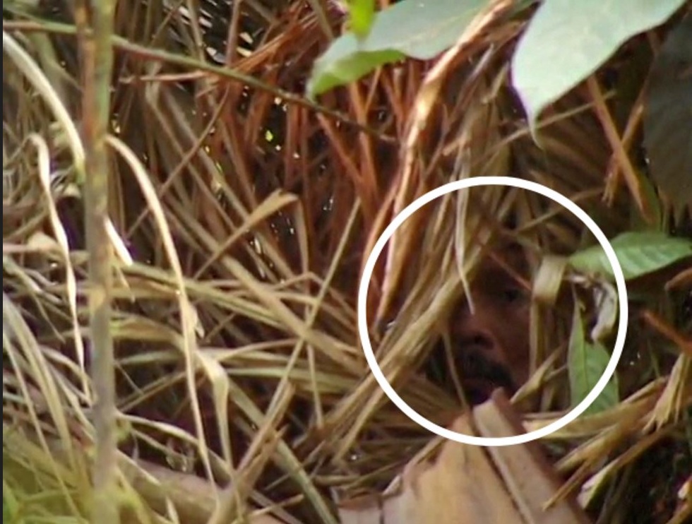 В Бразилии умер последний представитель племени, которое не имело контактов с цивилизацией (фото, видео)