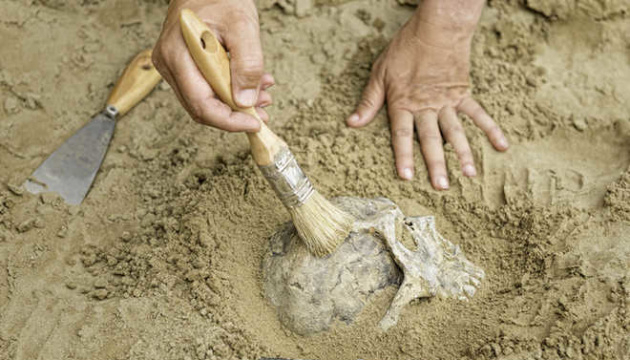 У Франції розкопали кістки невідомого предка ссавців